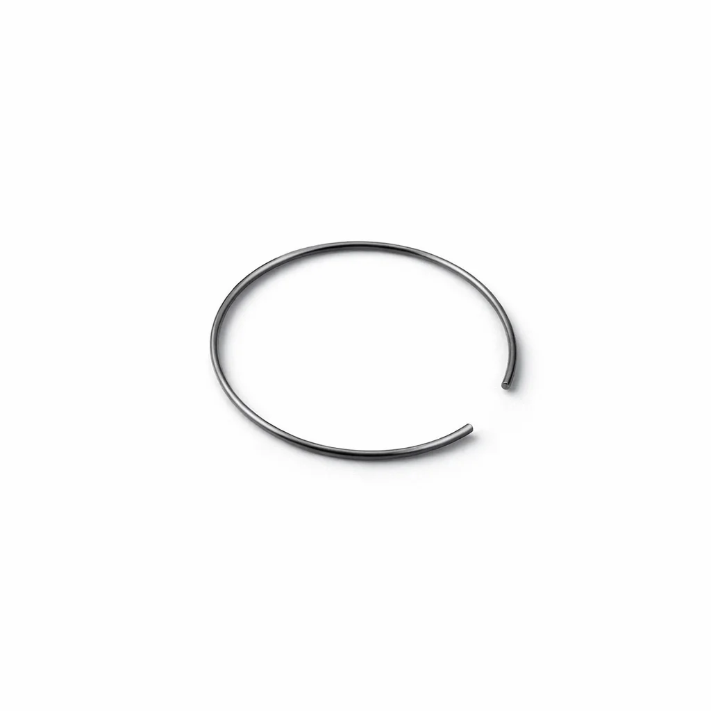 RING SPRING 24 HR3001C/12FC