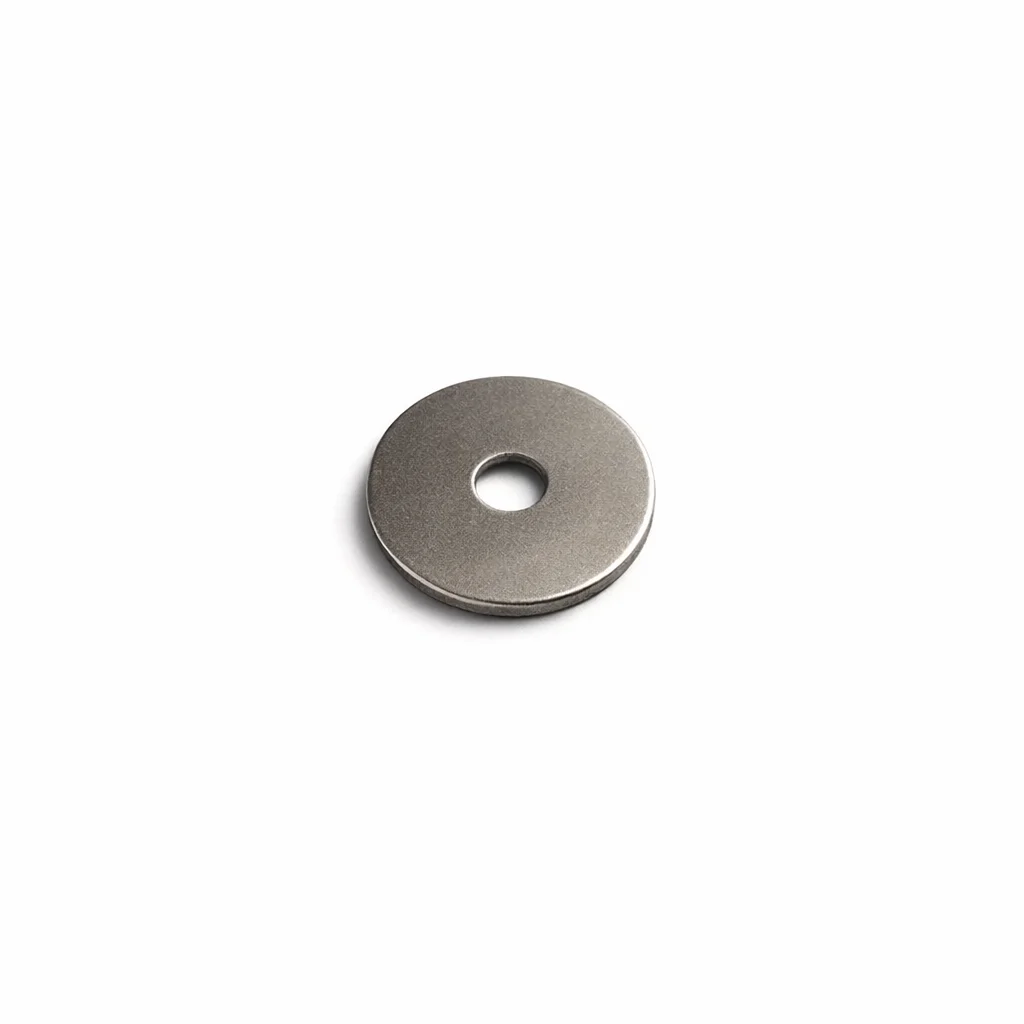 LARGE WASHER 6 9741