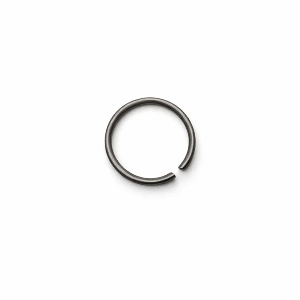 Retaining Ring