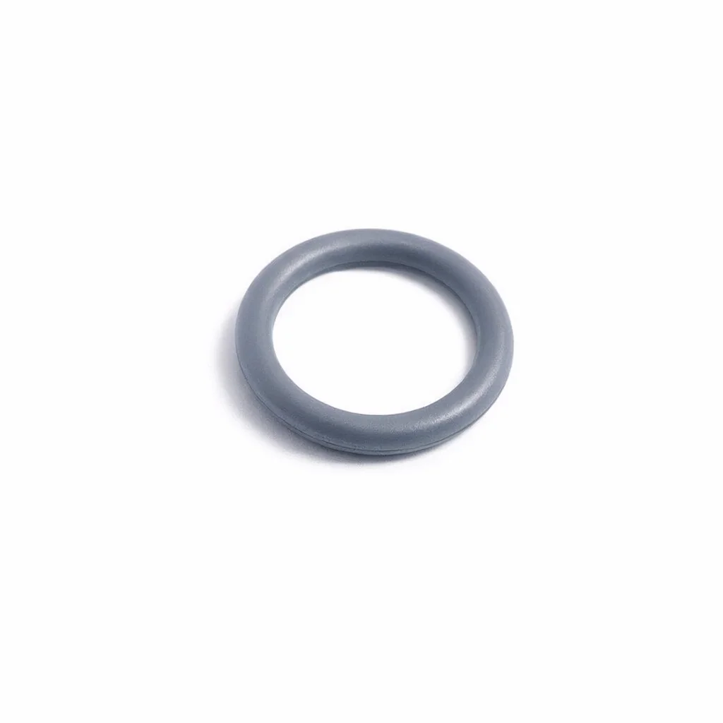 O-ring (b)