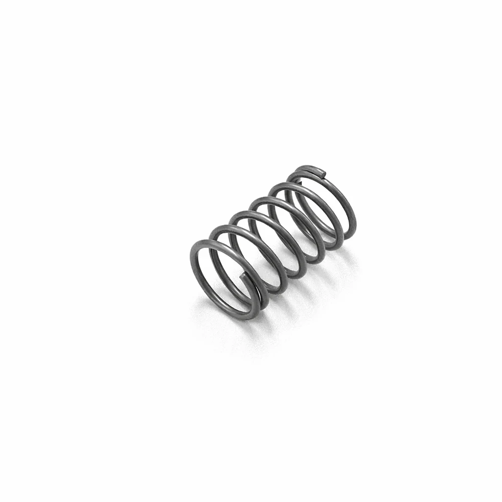 Lock Spring (a)