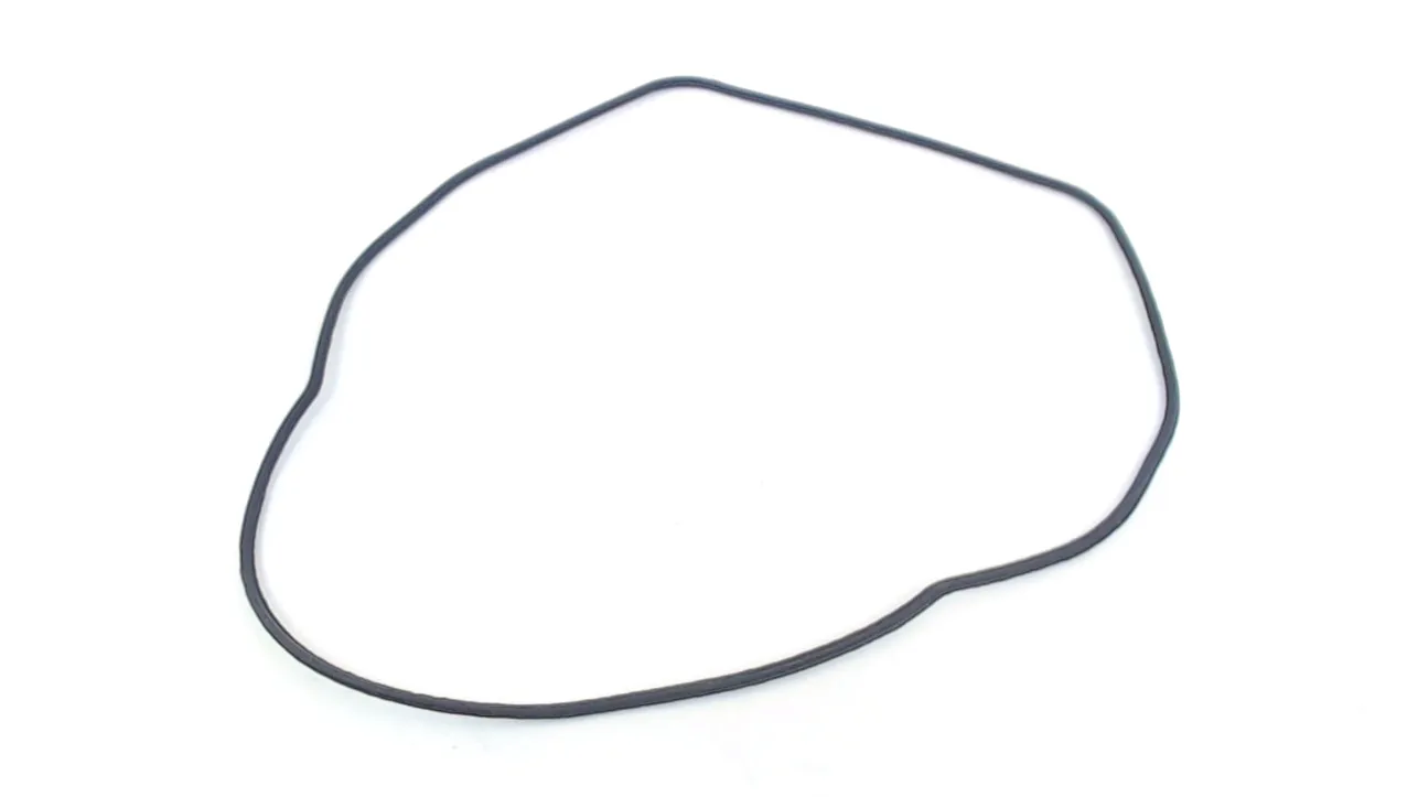 SEAL RING HP2050/51/70