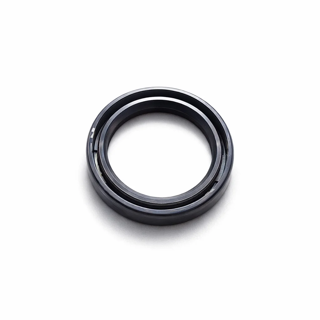 Oil Seal