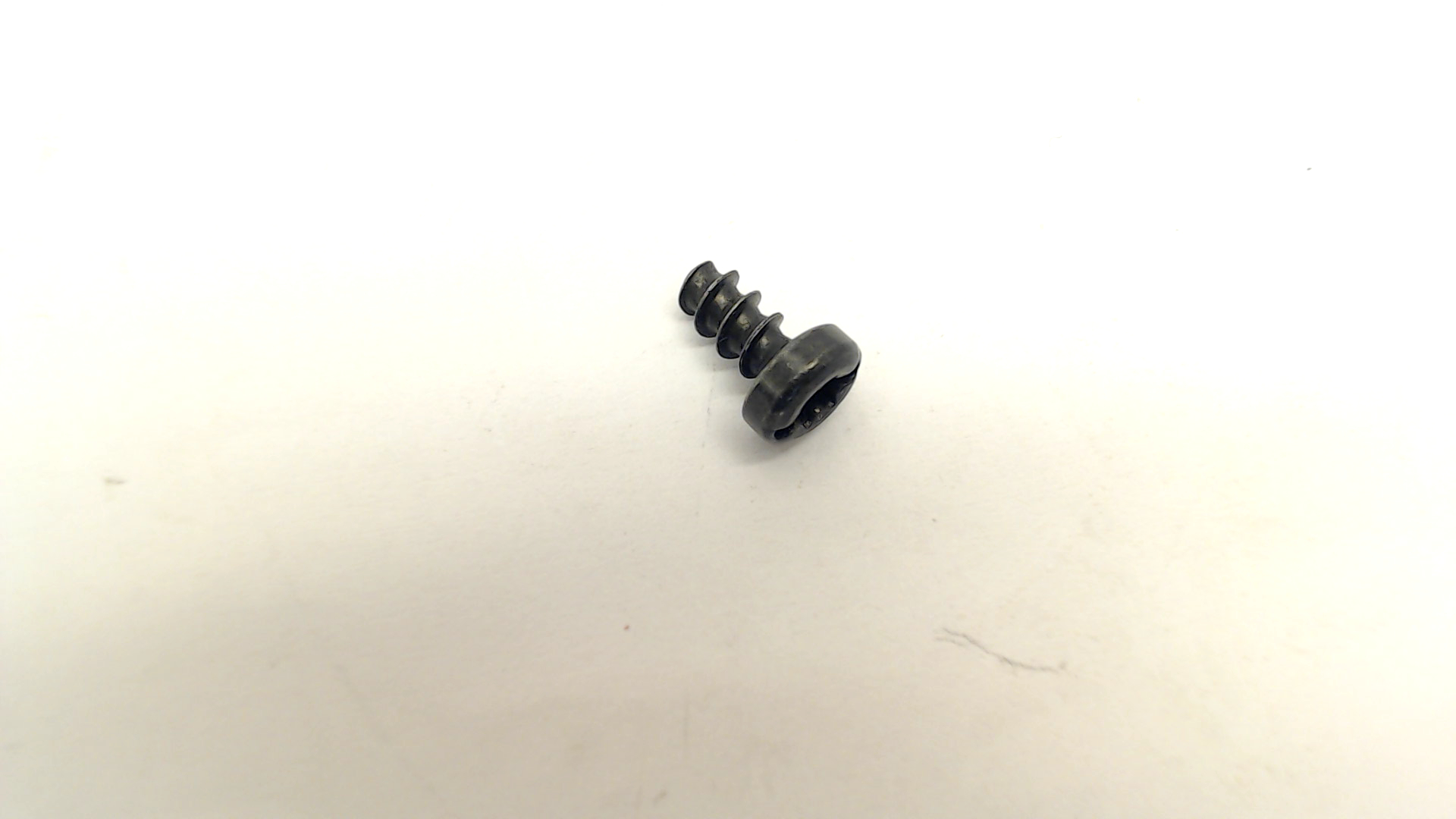 Torx Oval-head Screw