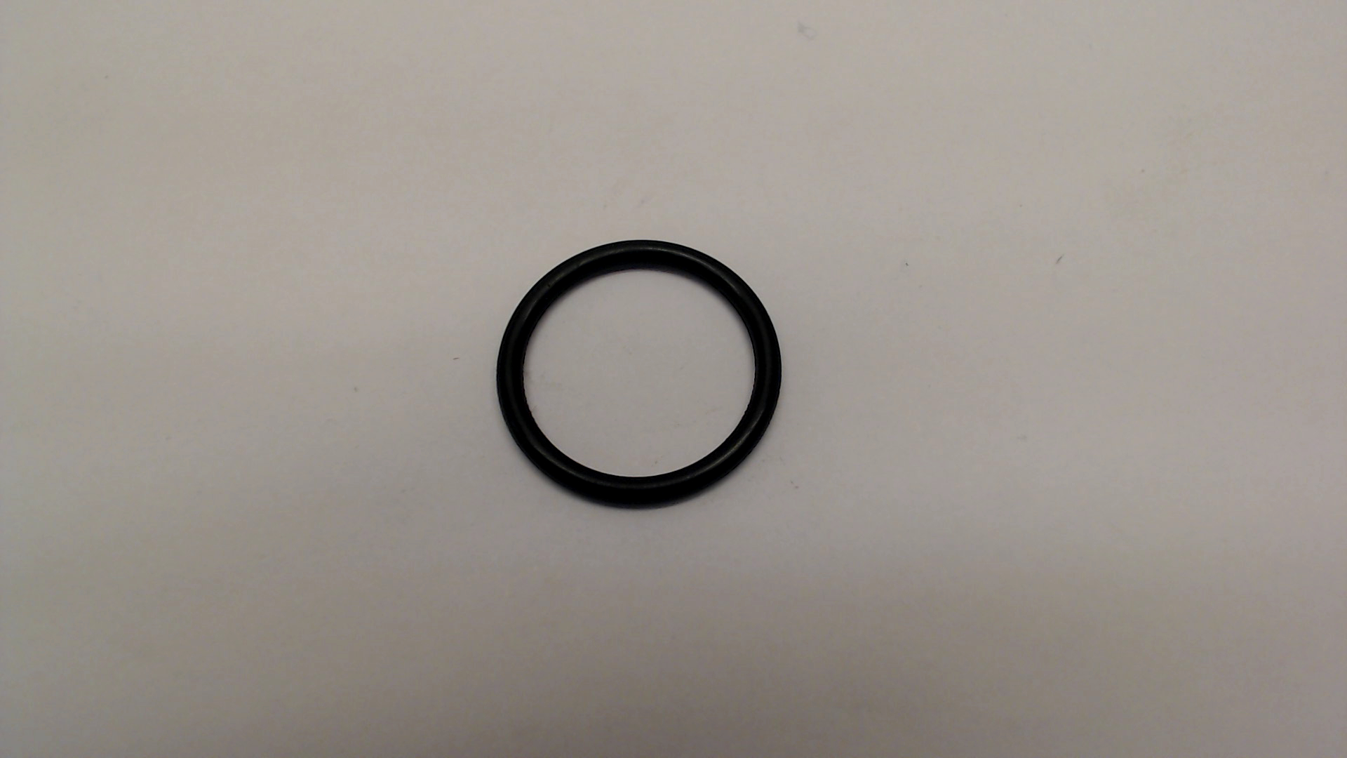 Valve O-ring